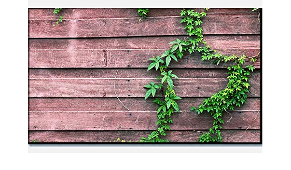 wandmotiv24 photo sur toile mur avec plante grimpante 90x50cm lxh photo panoramique photo sur toile murale cadeaux photo m1004 amazon fr cuisine maison amazon