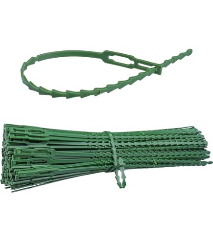 Lot De 50 Attaches Plantes Windhager - Vert, 130mm, Réutilisables
