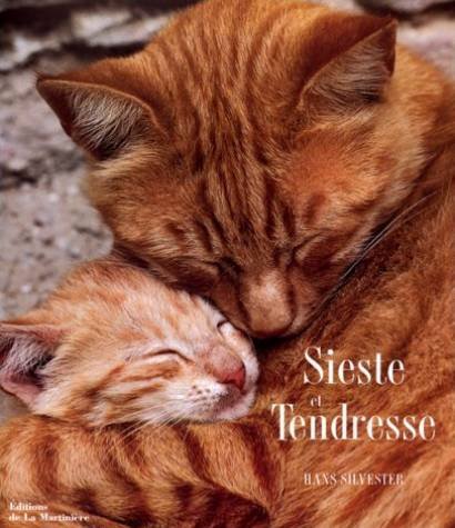 couverture de : Sieste et tendresse
