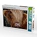 Produktbild Schottisches Hochland Rind, Highland Cattle 1000 Teile Puzzle quer (CALVENDO Tiere)