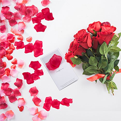 confronta il prezzo Petali di Rosa in Seta – Meersee 2000pcs Petali di Rosa in Seta in Colore Rosso Scuro per Decorazione di Matrimonio miglior prezzo