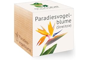 FEEL GREEN Ecocube Paradiesvogelblume, Nachhaltige Geschenkidee (100% Eco Friendly), Grow Your Own/Anzuchtset, Pflanzen Im Holzwürfel, Made in Austria