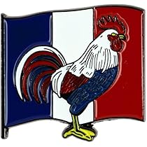 Clj Charles Le Jeune Pin's Gay Pride, Drapeau Rectangulaire Arc En Ciel