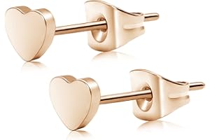 Titanium Women's Stud Earrings Nickel Free Hypoallergenic Girls Earring Stud Earrings for Sensitive Ears Petite Heart-Shaped Earring for Women Girls Teens Black Silver Gold Rose Gold