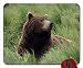 Produktbild Grizzly Bear Near Mcneil River Alaska wallpaper mouse pad computer mousepad