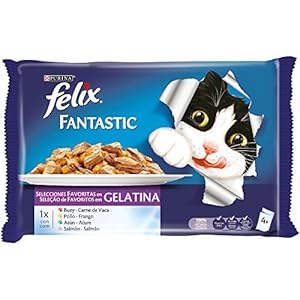 Purina Felix Fantastic Gelatina comida para gatos Selecciones Favoritas 10 x [4 x 100 g]