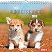 Für Hundefreunde 2018: Dekorativer Wandkalender mit Monatskalendarium | Maße (BxH): 21x20cm by