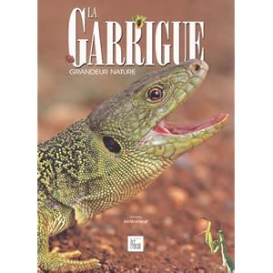 La Garrigue, grandeur nature Livre en Ligne - Telecharger Ebook