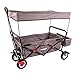 Produktbild FUXTEC faltbarer Bollerwagen CT400GR grau klappbar mit Dach, Vorderrad-Bremse, 4 große Reifen - kippsicher, Hecktasche, für Kinder geeignet - Das Original mit Qualität!