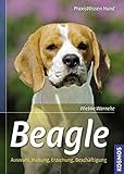 Image de Beagle: Auswahl, Haltung, Erziehung, Beschäftigung (Praxiswissen Hund)