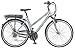 Produktbild Prophete Damen E-Bike Navigator 2.1 24-Gang Acera, Platingrau/Matt, 50 cm, 52525-0111
