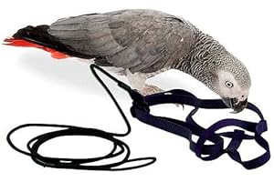 Aviator The Arnés para loro, tamaño mediano, color negro