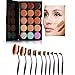 Neverland 10 Pcs Tooth Brush Shape Oval Makeup Brushes Foundation Contour Powder Eyebrow Blush Eyeshadow Brush Set + 15 Colors Concealer