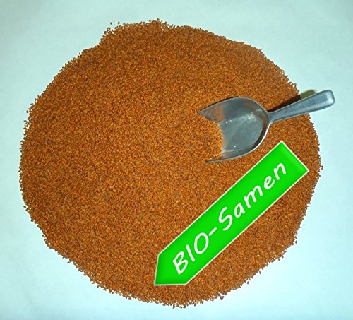 Kresse BIO Gartenkresse 1000g frische, reine Ware