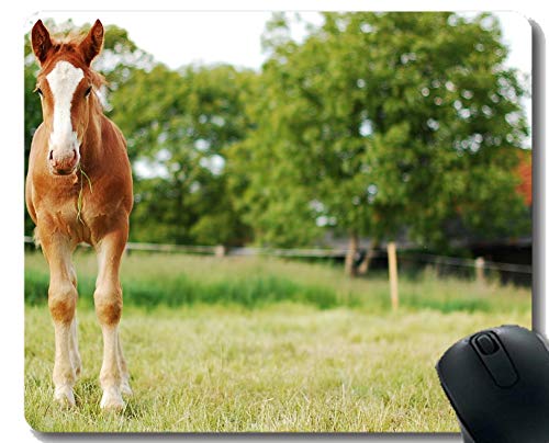 Preisvergleich Produktbild Naturkautschuk-Mausunterlage, undeutliche Baumstute des Ponys mit genähter Grenze