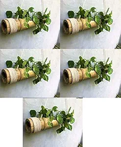 COIR GARDEN Bamboo Planter, 40-55 cm, 5 Pieces, Brown