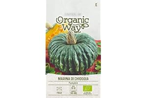 Organic Way | SEMILLAS DE CALABAZA MARINA DI CHIOGGIA | Semillas de Hortalizas | semillas de calabaza | semillas de jardín | Una variedad tardía | 1 paquete