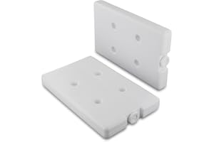 DL-pro Lot de 2 accumulateurs de froid, 218 x 135 x 27 mm, compatibles avec Bosch Siemens 00085716 085716 - Pour réfrigérateur, congélateur, glacière