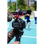 Rode-Rycote-Edition-VideoMic-Line-Gradient-Polar-Pattern