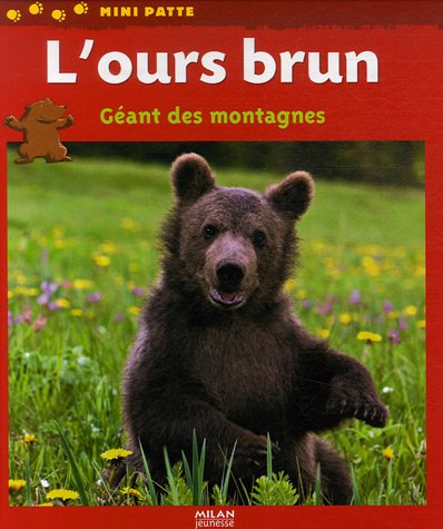 L'ours brun