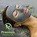 Dead Sea Mud Mask for Face and Body - 236 ml Melts Cellulite Treats Acne Strech Mark Removal - Deep Detox Cleaning Mask Pore Minimizer and Wrinkle Reducer - Natural and Organic Premium Nature