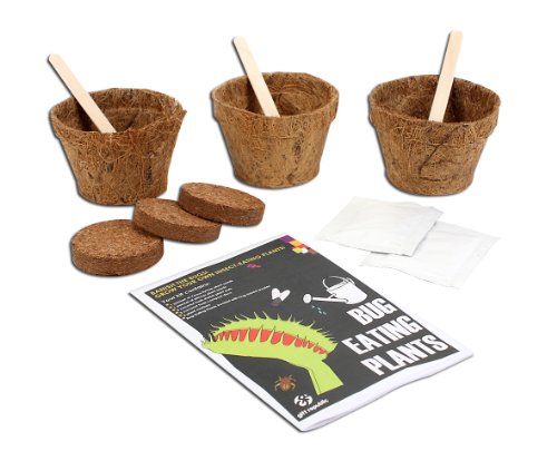 Gift Republic Sow And Grow Fleischfressende Pflanzen-Pflanzset - 2