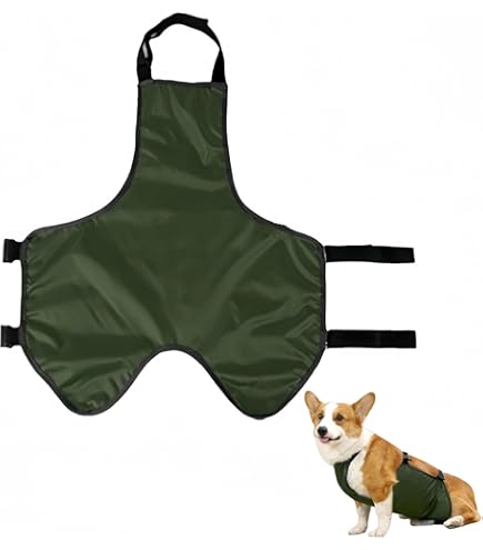 Gilet Refrigerante Vivi Bear Per Cani - Pettorina Rinfrescante Per Estate E Attività Esterna - Foto 7