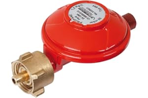 ROTHENBERGER Przemysłowy regulator ciśnienia gazu 50 mbar do butli z propanem | reduktor ciśnienia z przyłączem węża gazowego | mosiężne elementy do urządzeń grzewczych, gotowania i grilla, na kemping