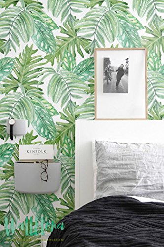 Papel pintado, diseño de hojas de monstera, extraíble, hojas de papel pintado, adhesivo decorativo para pared, 53 Cm wide by 243 Cm Tall