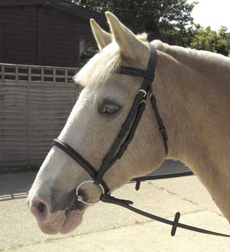 Windsor-Equestrian-Horses-Bridle-Brown-Shetland