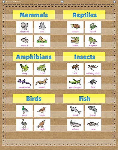 10POCKET Pocket Chart Burlap 34X44