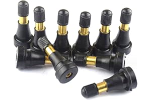 GENERIC GOZAR 10 pièces Résistant à haute pression TR600HP Tout cuivre pour camion léger automobile Compatible avec les soupapes Iveco pour pneus à vide à haute pression