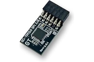 HSSDTECH TPM 2.0 SPI 12pin SLB9670 Module de sécurité pour Gigabyte Motherboard Z790 D/UD AX/S DDR4, Z790M AORUS Elite AX Ice, Z790 AORUS Pro X Mainboard Security Module GC-TPM 2.0