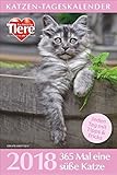 Image de Katzen-Tageskalender 2018