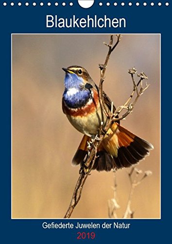 Blaukehlchen. Gefiederte Juwelen der Natur. (Wandkalender 2019 DIN A4 hoch): Einzigartige Blaukehlchen-Portraits. (Planer, 14 Seiten ) (CALVENDO Tiere)