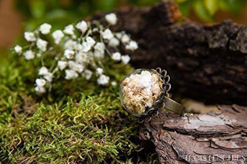 Anillo de gipsófila- Joya con flores secas naturales - Anillo ajustable flor de novia bohemio - Semiesfera de vidrio - 20mm - Regalos originales para mujer - Cumpleaños - Regalo de Navidad