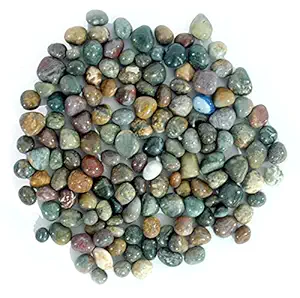 Ourique Fancy Pebbles for Decoration - Pebbles Stones for Plants Pots, Fountain, Table and Home D?cor