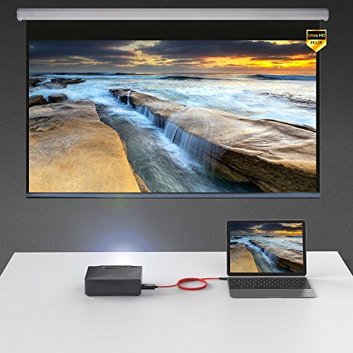 BC Master C2H2 USB Typ C zu HDMI Kabel 4K (2.5m) Nylon Trenzado thunderbolt 3 für MacBook Pro 2015/2016, Google Chromebook, Dell XPS 15, and Other USB-C Computer Schwarz - 7