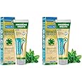 Bentodent Toothpaste - Natural Toothpaste For Entire Family Incl Kids - Your Daily Oral Detox, Cleanse & Remineralize - Foam Free, Fluoride Free (Premium Mint) 100G (Pack of 2)