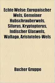 Echte Welse Europaischer Wels, Gemeiner Hubschrauberwels, Silurus