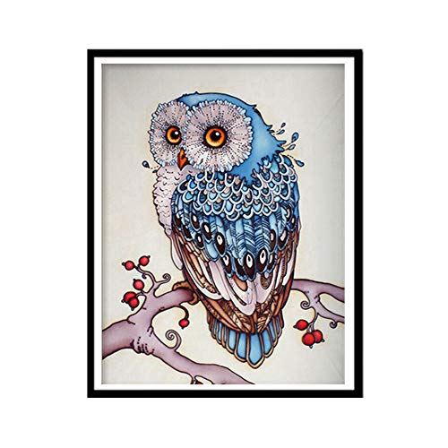 Smallones 5D Diamond Painting Kits Full drill 30 cm x 40 cm DIY Diamond Art ricamo Owl for home Wall Decal