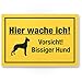 Produktbild Hier wache ich Vorsicht bissiger Hund - Hunde Kunststoff Schild, Hinweisschild Gartentor/Gartenzaun - Türschild Haustüre, Warnschild Abschreckung/Einbruchschutz - Achtung Hund