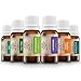 Produktbild ECO PURE`s Reine Ätherische Öle Set TOP 6 | Duftöle für Diffuser, Massage und Aromatherapie, 100% Naturrein (Lavendel, Teebaum, Eukalyptus, MInze, süße Orange, Zitronengras) Geschenk-Set