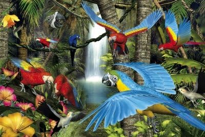 Kindertraume 0643 Parrots Puzzle (1000-Piece)