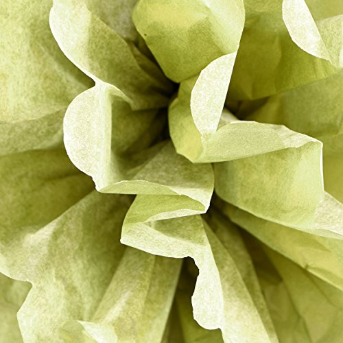 NUOLUX Papier Bienenwabe Kugeln Fan Laternen Papier Pompons für Party Dekoration, 12pcs - 6