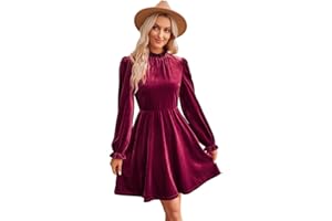 RPAEOY Abito Donna Elegante Invernale in Velluto Maniche Lunghe Collo Alto Vintage Vestito Ginocchio Curvy Vestiti da Sera Natalizio Cocktail Festa Cerimonia