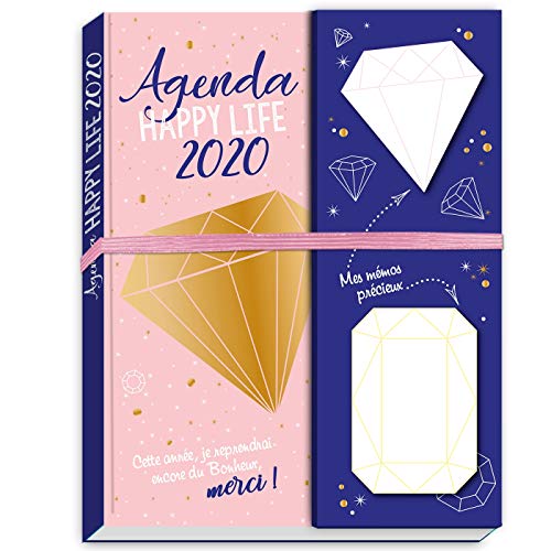 Télécharger Agenda 2020 Happy Life ! (de sept 2019 à décembre 2020) Livre PDF Gratuit