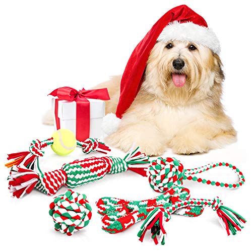 Ottimo supporto auto