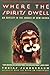 Where the Spirits Dwell: An Odyssey in the Jungle of New Guinea by 