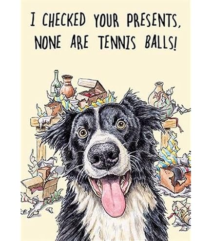 Carte De Noël Border Collie - Style Midcentury Modern - Carte Vierge Avec Enveloppe De Luxe - 17.5x12.5 Cm